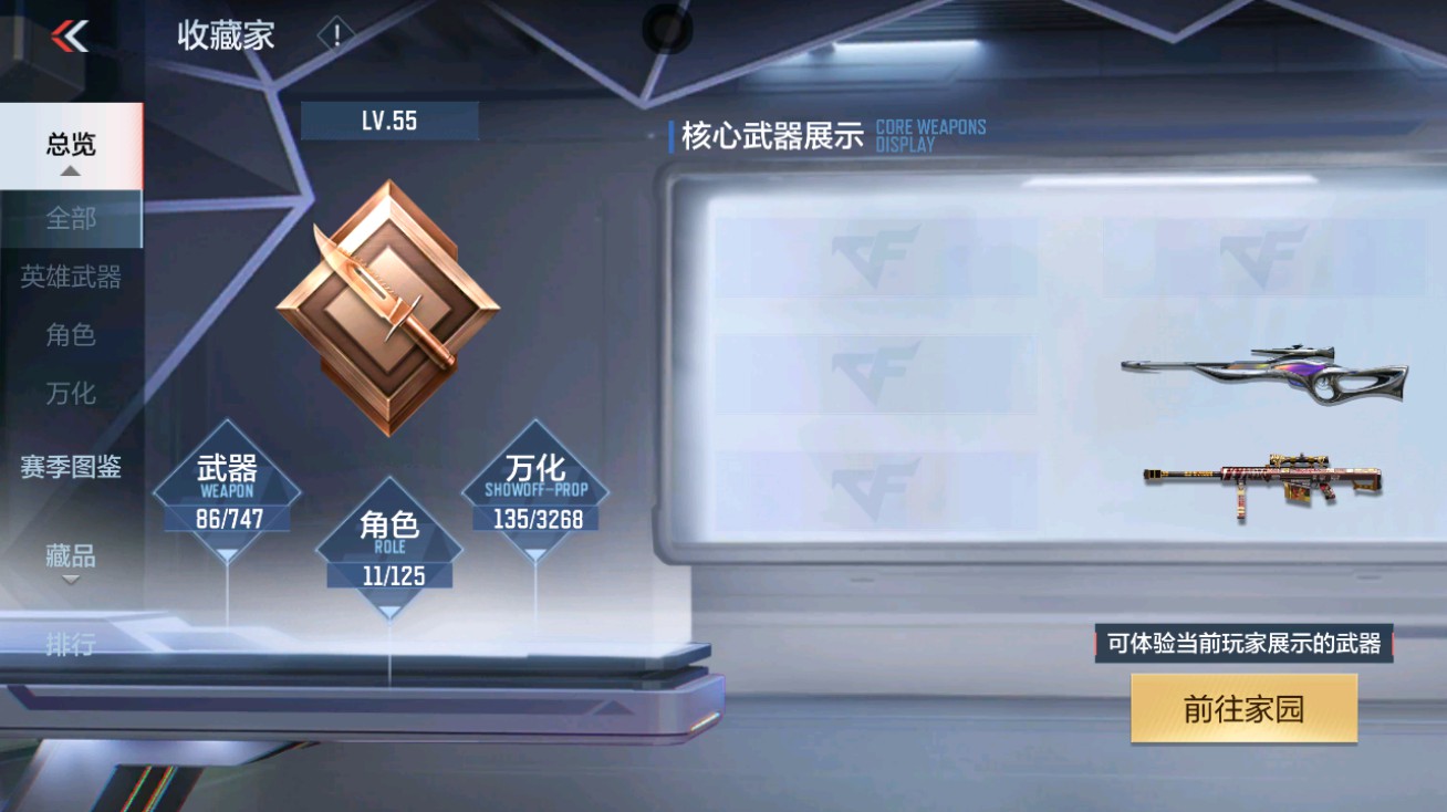 CFMHG48960枪战王者账号详情图20