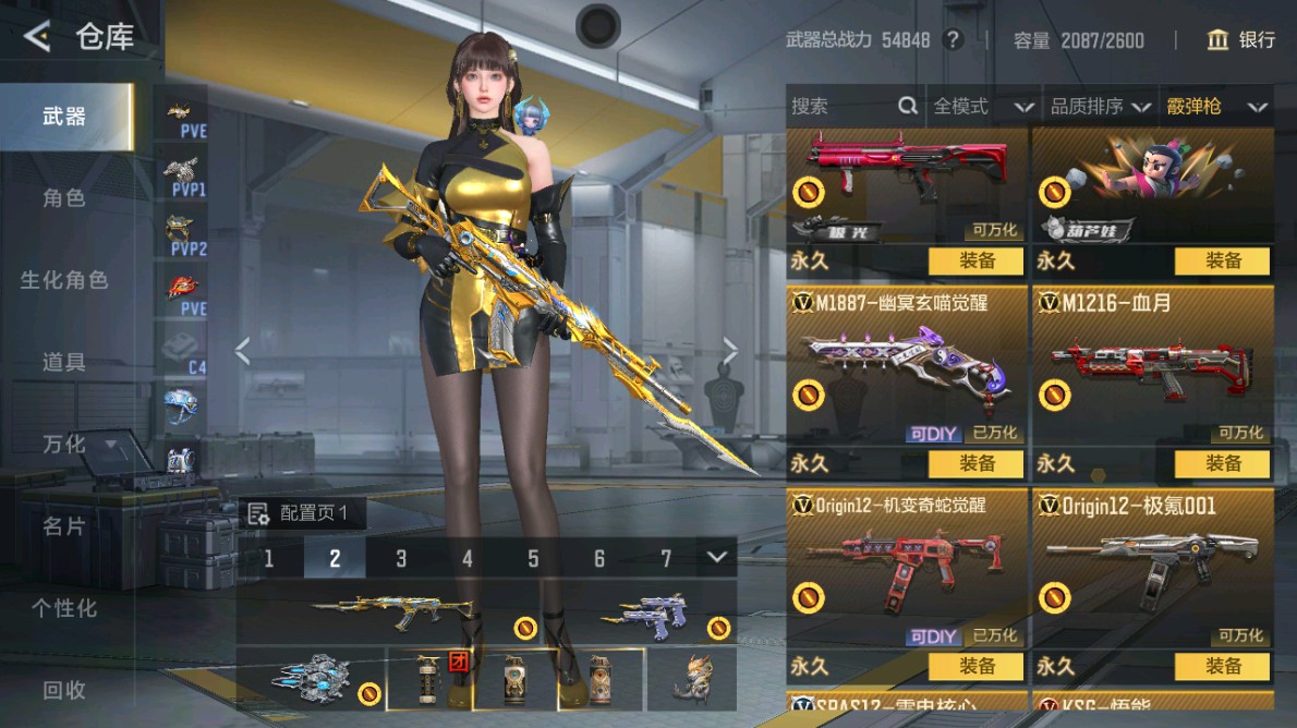 CFMHG48970枪战王者账号详情图48