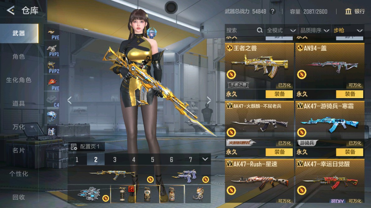 CFMHG48970枪战王者账号详情图3