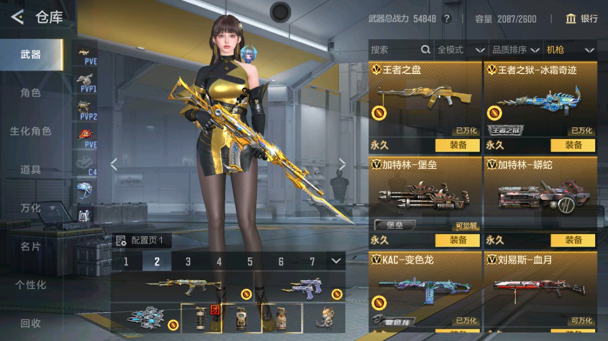 CFMHG48970枪战王者账号详情图23