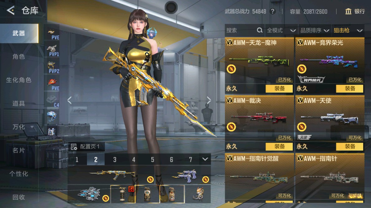 CFMHG48970枪战王者账号详情图18