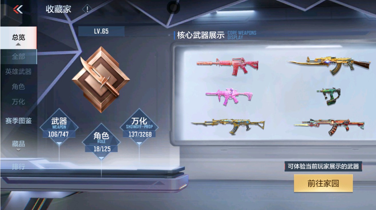 CFMHG48973枪战王者账号详情图24