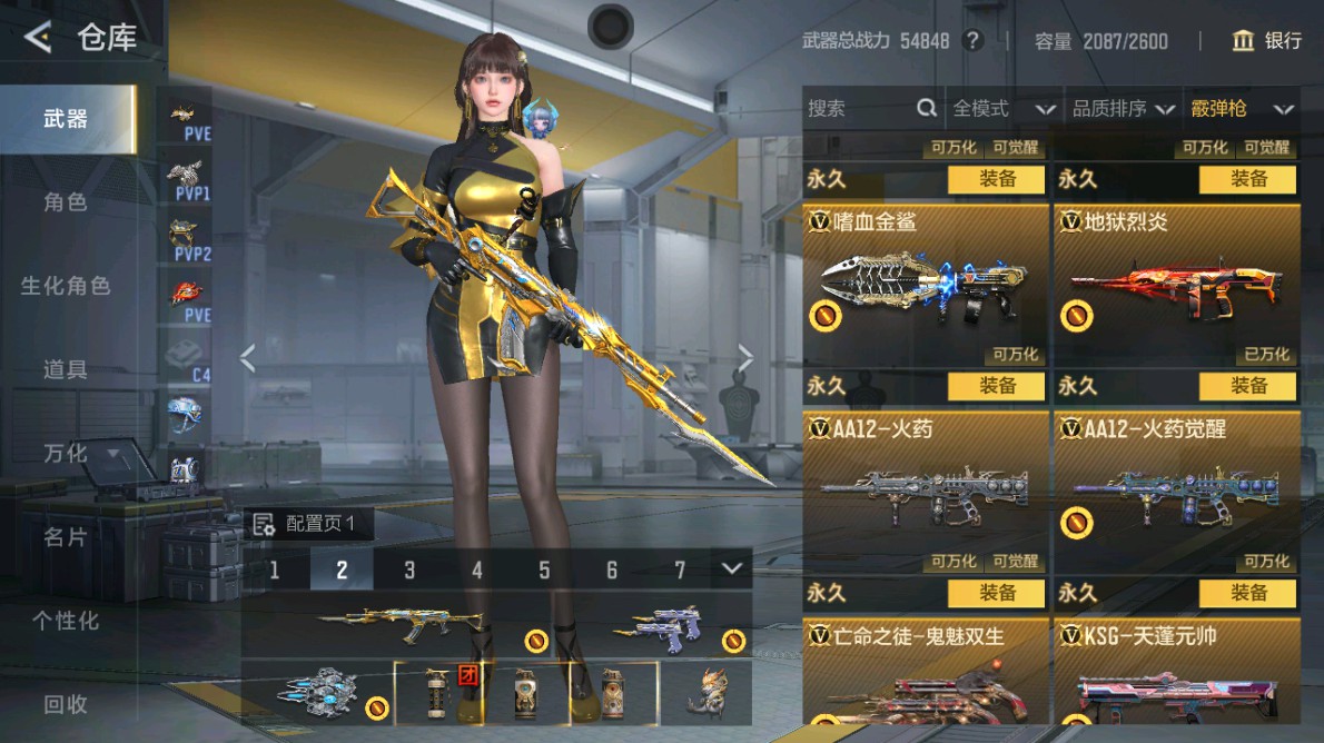 CFMHG48970枪战王者账号详情图47